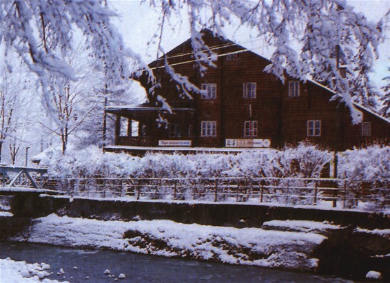 Image - Tourist base Edelweiss in Yasinia, Transcarpathia oblast.